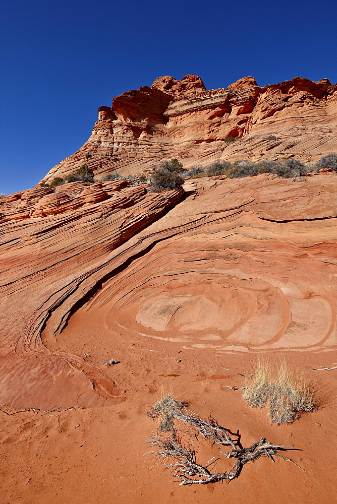 Sandstone and red sand, Vermillion Cliffs National Monument, Arizona, United States of America, North America