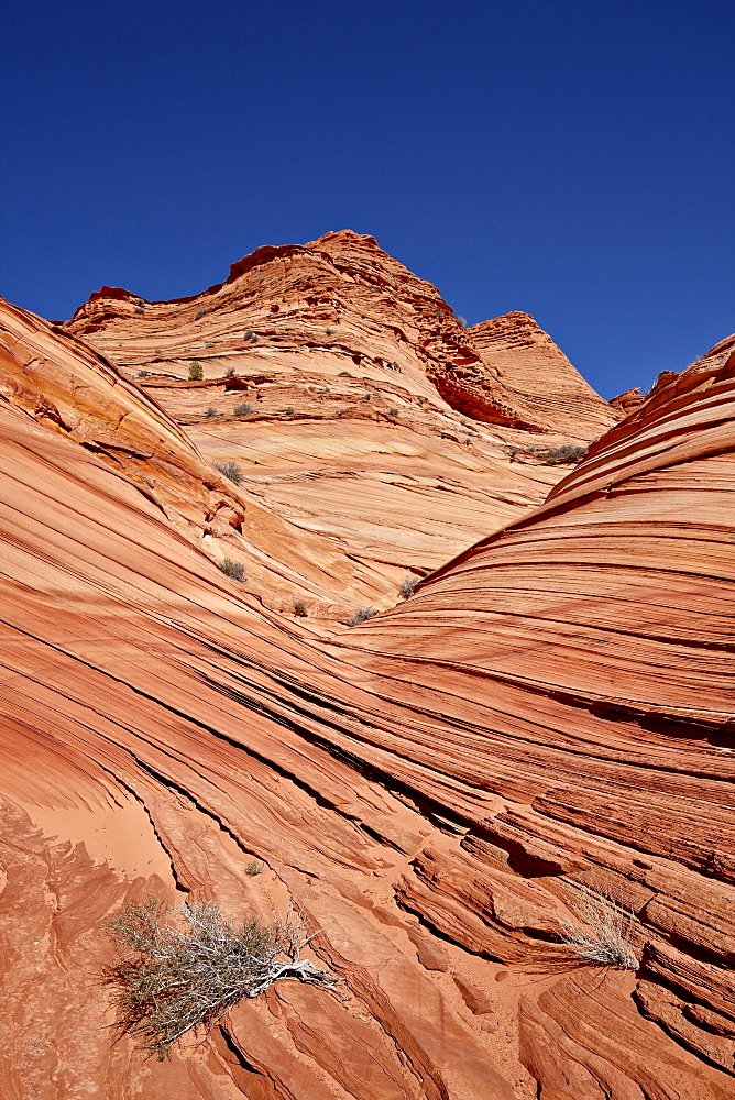 The Mini Wave formation, Coyote Buttes Wilderness, Vermillion Cliffs National Monument, Arizona, United States of America, North America