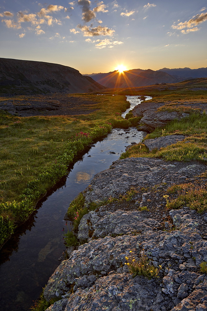 Sunrise in an Alpine meadow with wildflowers, San Juan National Forest, Colorado, United States of America, North America