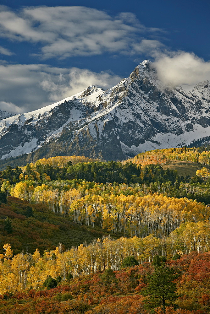 Mears Peak with snow and yellow aspens in the fall, Uncompahgre National Forest, Colorado, United States of America, North America