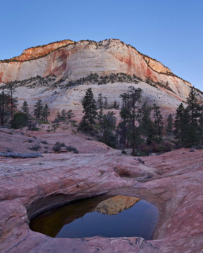 Pool in slick rock at dawn, Zion National Park, Utah, United States of America, North America