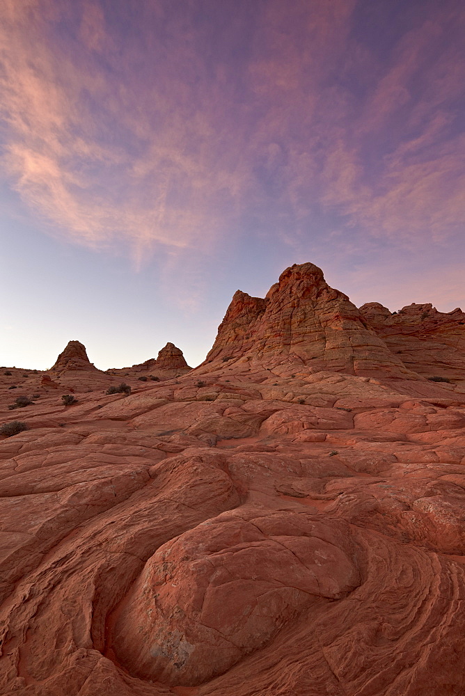 Swirl erosion pattern with pink clouds at dawn, Coyote Buttes Wilderness, Vermillion Cliffs National Monument, Arizona, United States of America, North America