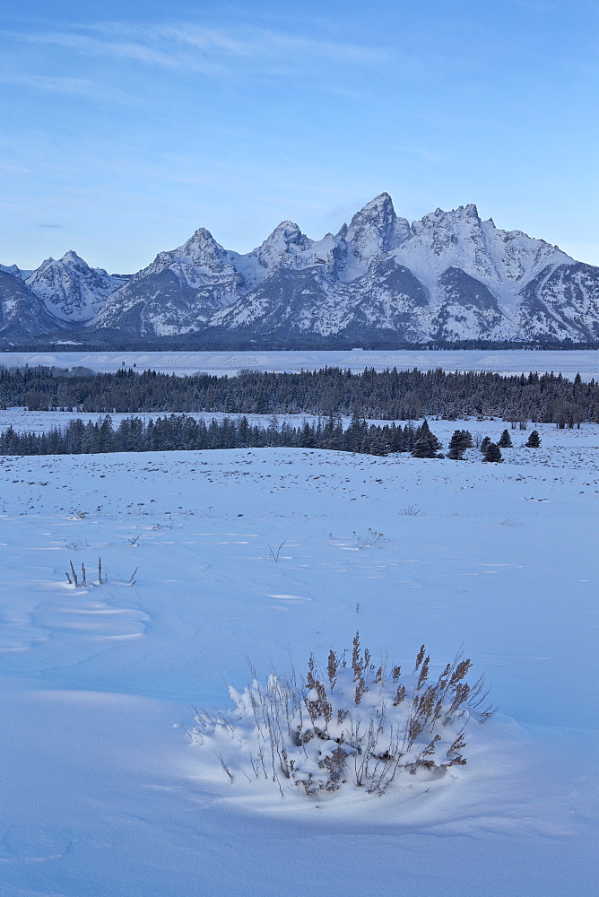 The Tetons at dawn after a fresh snow, Grand Teton National Park, Wyoming, United States of America, North America 