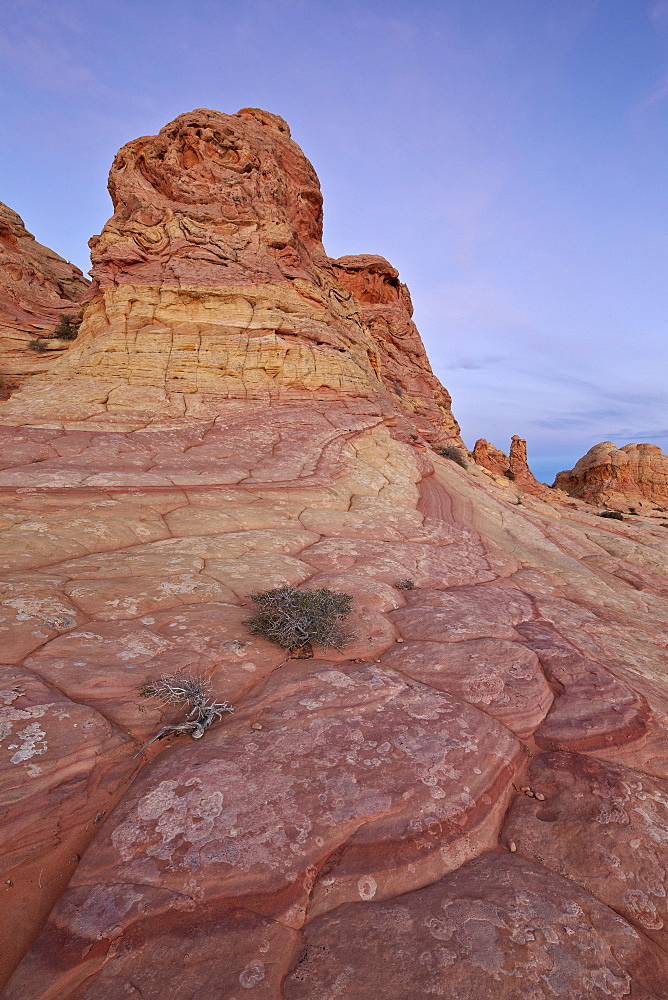 Sandstone formation at dawn, Coyote Buttes Wilderness, Vermillion Cliffs National Monument, Arizona, United States of America, North America 