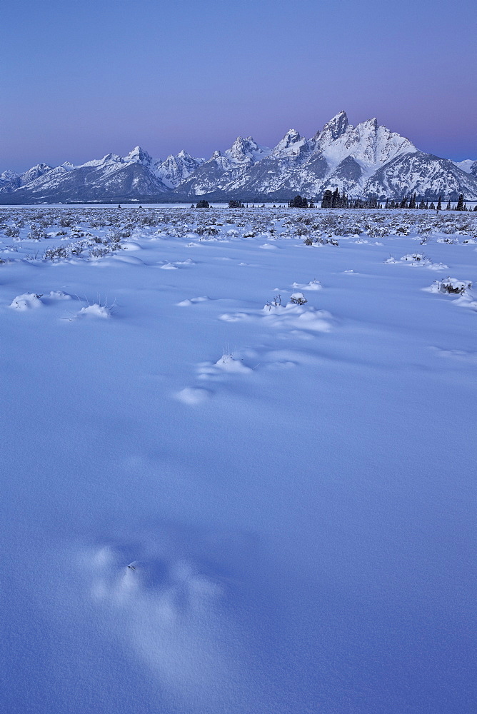 The Teton Range at dawn after a fresh snow, Grand Teton National Park, Wyoming, United States of America, North America 