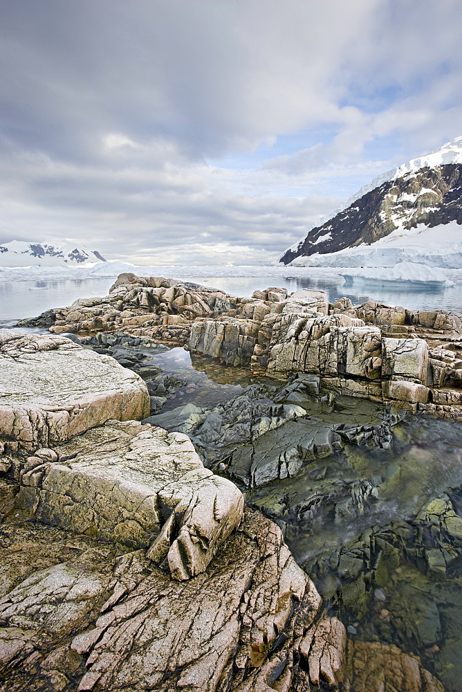 Neko Harbor, Antarctic Peninsula, Antarctica, Polar Regions