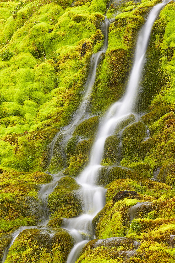 Stream through moss, Iceland, Polar Regions 