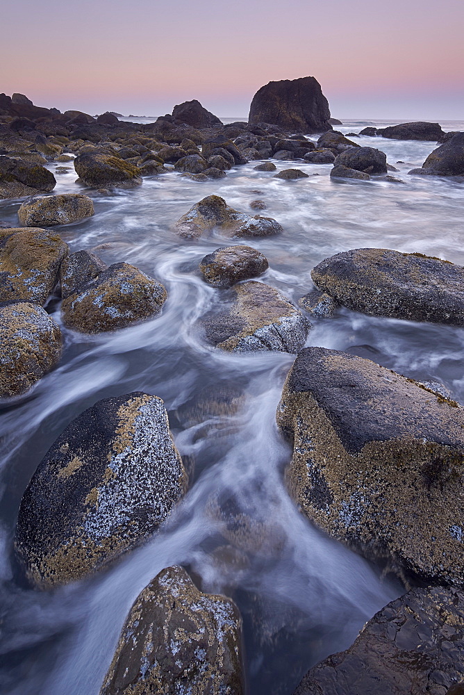 Rocks and sea stacks at dawn, Ecola State Park, Oregon, United States of America, North America 