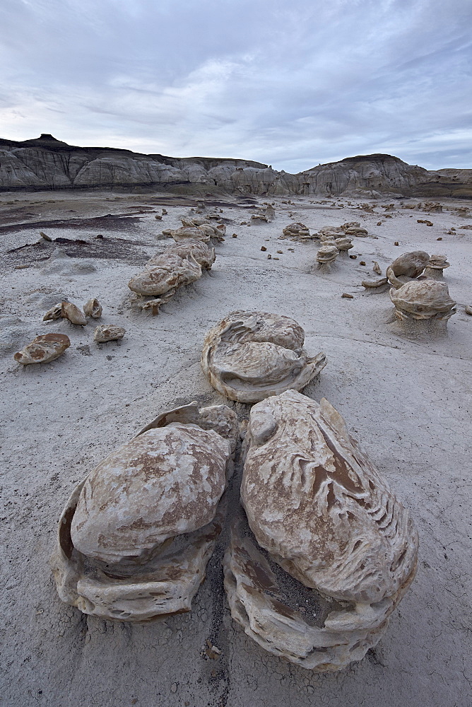 Eroded boulders at the Egg Factory, Bisti Wilderness, New Mexico, United States of America, North America