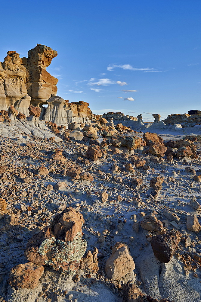 Rocks in the badlands, Ah-Shi-Sle-Pah Wilderness Study Area, New Mexico, United States of America, North America