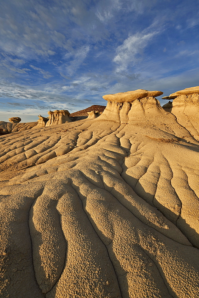 Badlands, Bisti Wilderness, New Mexico, United States of America, North America