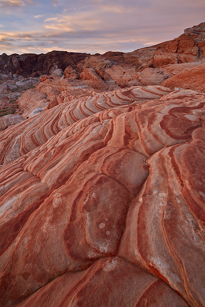 Sandstone forms at dawn, Valley Of Fire State Park, Nevada, United States of America, North America