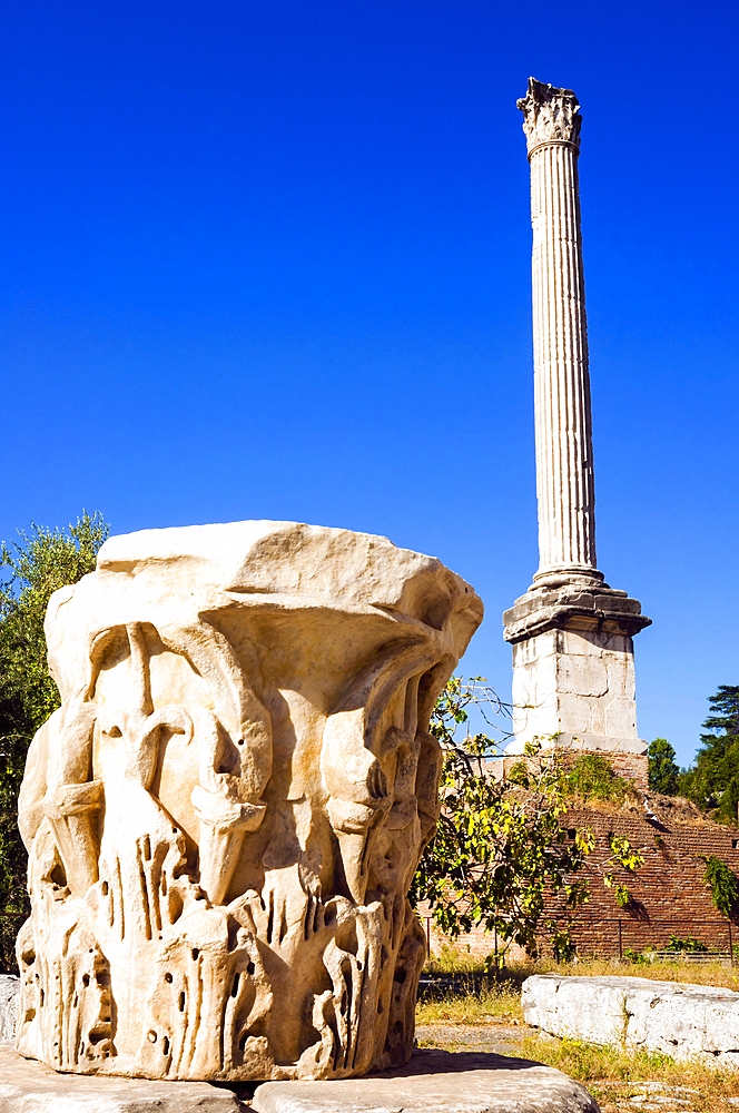 Corinthian capital and Column of Phocas, Roman Forum, UNESCO World Heritage Site, Rome, Latium (Lazio), Italy, Europe