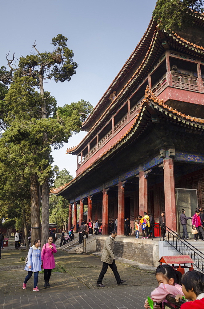 Confucius Temple, Qufu, UNESCO World Heritage Site, Shandong province, China, Asia