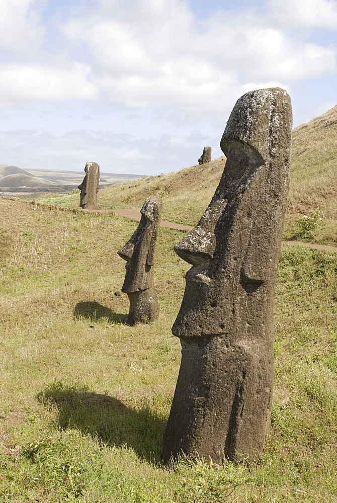 Moai quarry, Ranu Raraku Volcano, UNESCO World Heritage Site, Easter Island (Rapa Nui), Chile, South America