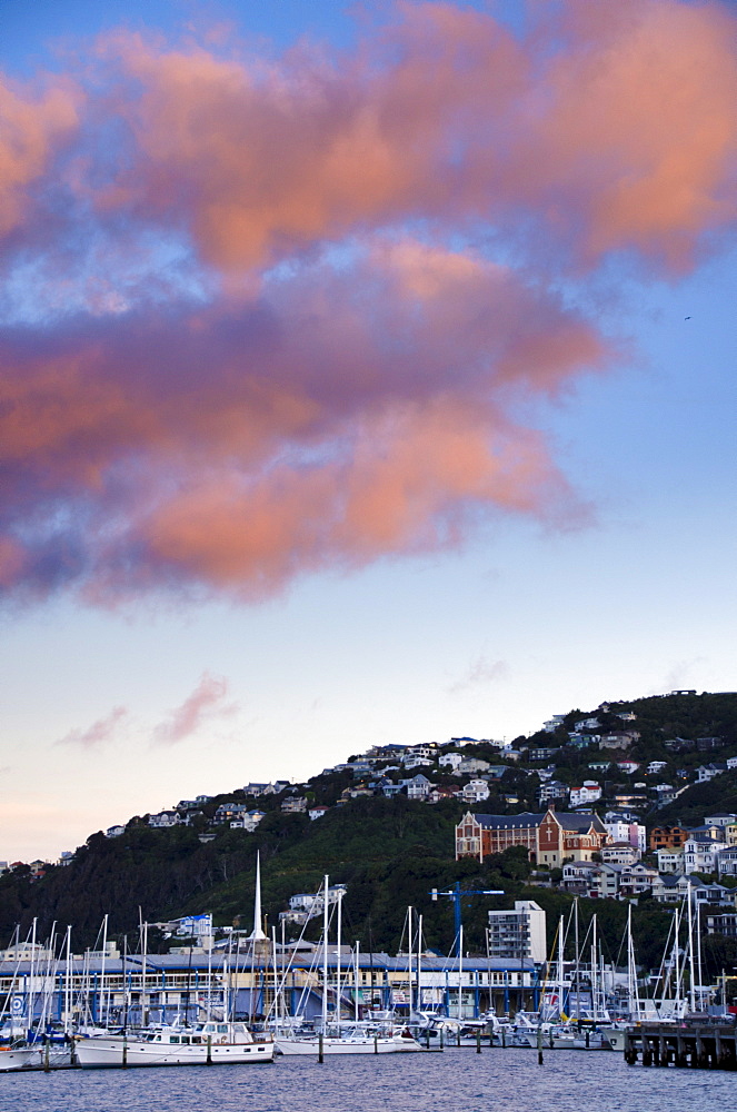 Wellington, North Island, New Zealand, Pacific