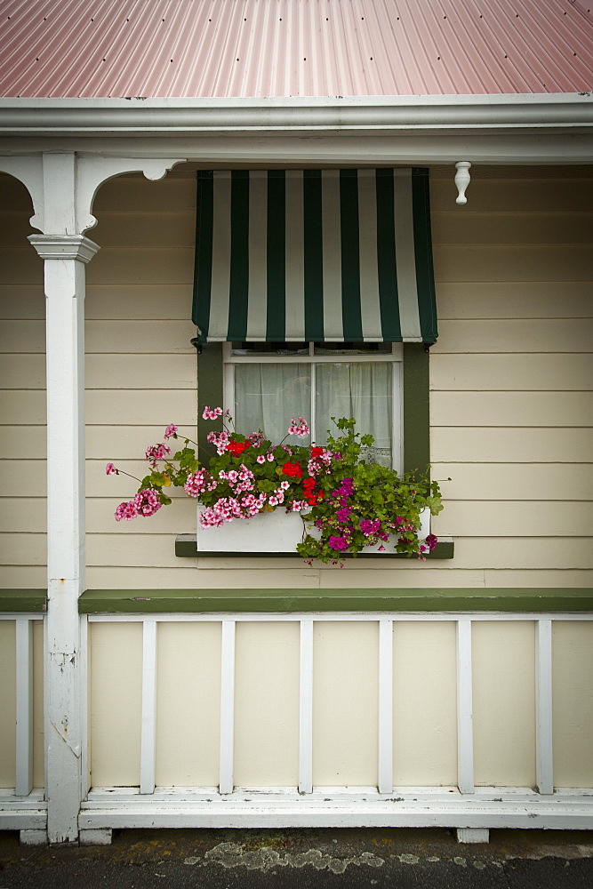 Greytown, North Island, New Zealand, Pacific