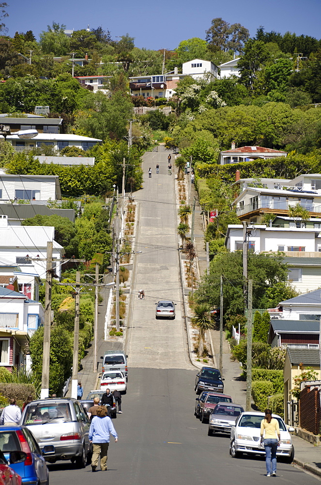 World's steepest street, Baldwin Street, Dunedin, Otago, South Island, New Zealand, Pacific