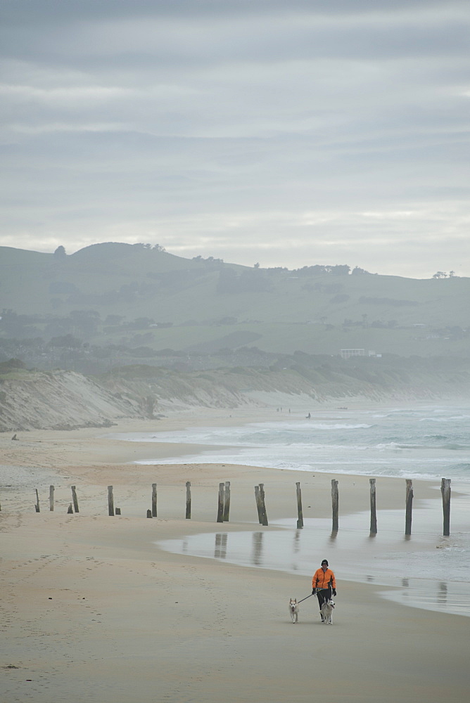 Otago Harbour, St. Clair, Otago, South Island, New Zealand, Pacific