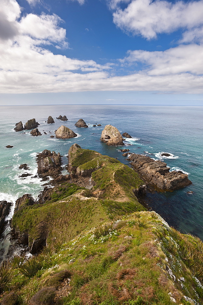 Nugget Point, Otago, South Island, New Zealand, Pacific