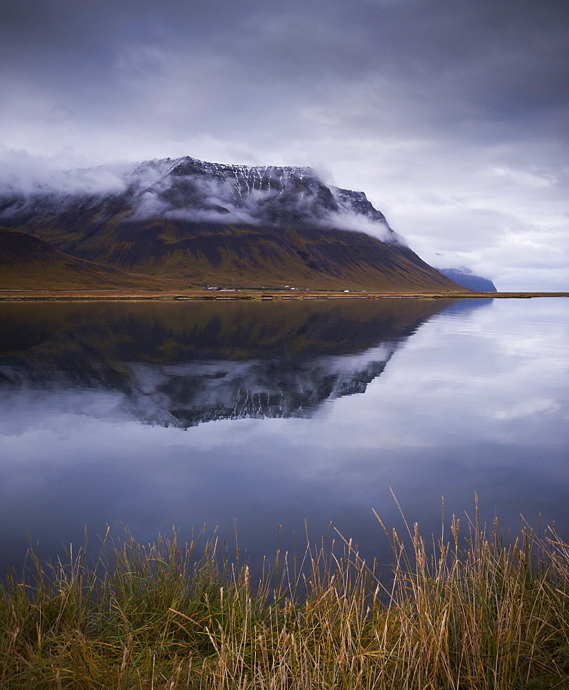 Onundarfjordur, West Fjords, Iceland, Polar Regions 