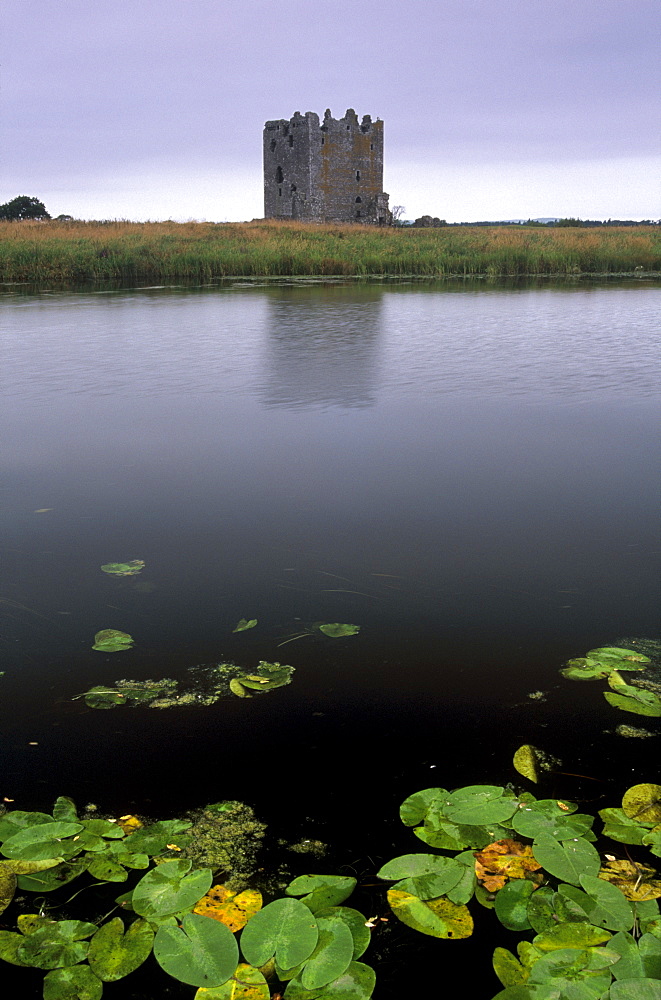 Threave Castle, fortress of the Douglas family dating from the 14th century, on an island of the Dee river, near Castle Douglas, Dumfries & Galloway, Scotland, United Kingdom, Europe