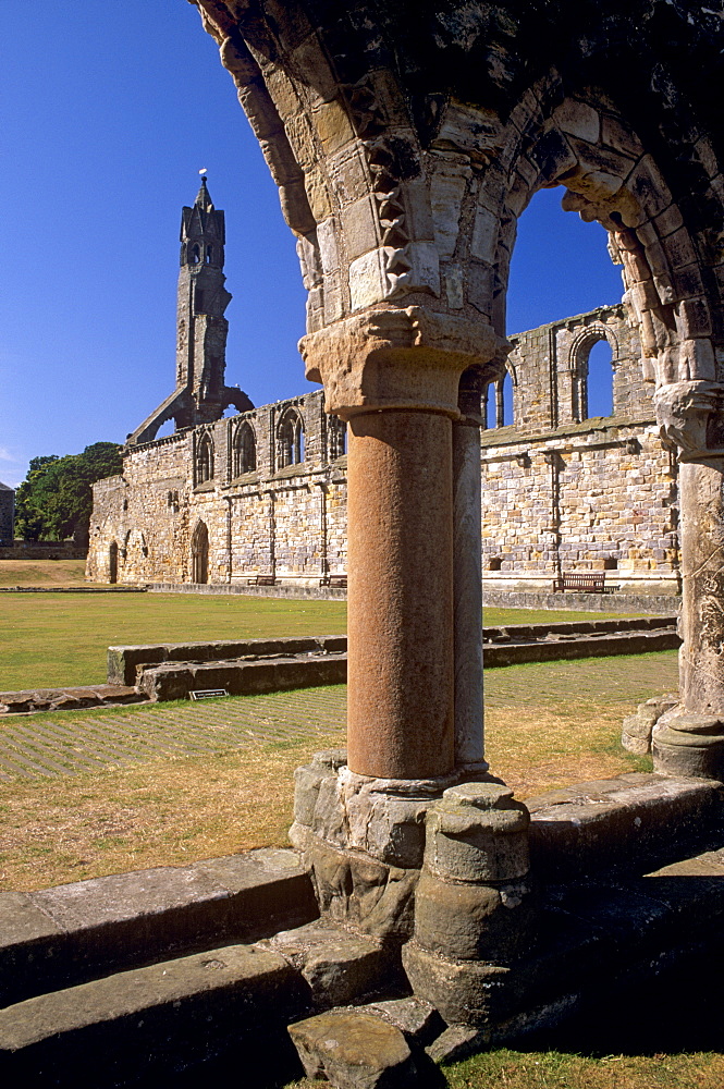 St. Rule's tower from the priory, St. Andrews Cathedral dating from the 14th century, St. Andrews, Fife, Scotland, United Kingdom, Europe