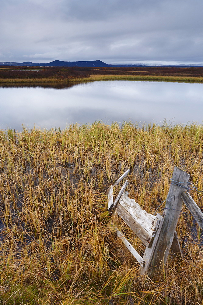 Lake Myvatn, bird protected area in autumn, north-west shore of lake, looking eastwards, Hverfjall volcano visible in the distance, Myvatn, north Iceland, Iceland, Polar Regions