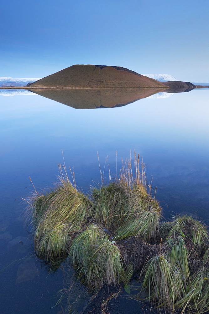 Shores of Lake Myvatn at dusk, fine pseudo-crater in the distance, near Skutustadir, Myvatn, northern area, Iceland, Polar Regions