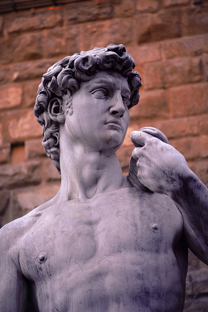 Michelangelo's David, Piazza della Signoria, Florence, Tuscany, Italy, Europe