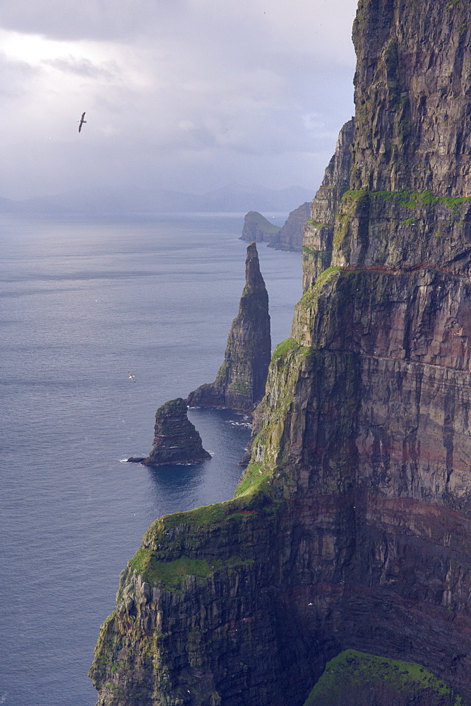 Spectacular 300-400m high cliffs on west coast of Sandoy, Oknadalsdrangur sea stack in foreground, Sandoy, Faroe Islands (Faroes), Denmark, Europe