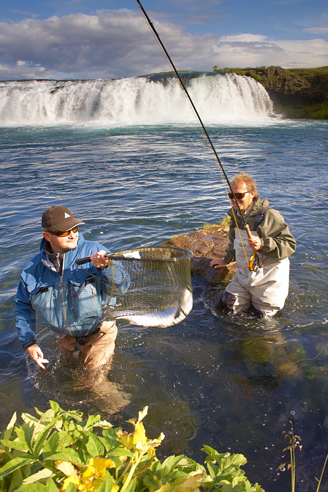 Salmon fly fishing in Iceland, Polar Regions