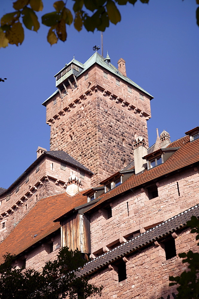 Haut-Koenigsbourg castle exterior walls and keep, a medieval castle overlooking the Rhine Plain, Haut Rhin, Alsace, France, Europe