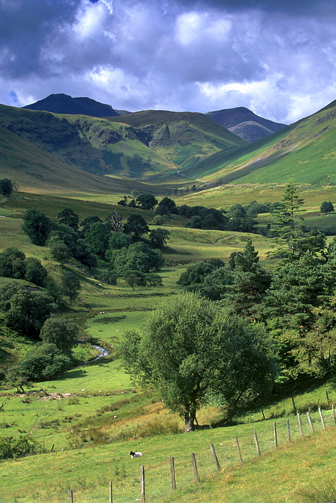 Keskadale and Derwent Fells near Keswick, Lake District National Park, Cumbria, England, United Kingdom, Europe