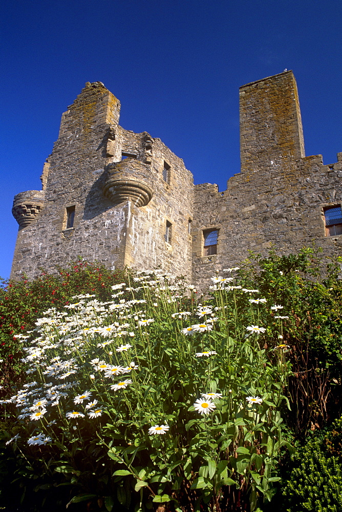 Scalloway Castle built by forced labour by Earl Patrick in 1600, Scalloway, Shetland Islands, Scotland, United Kingdom, Europe