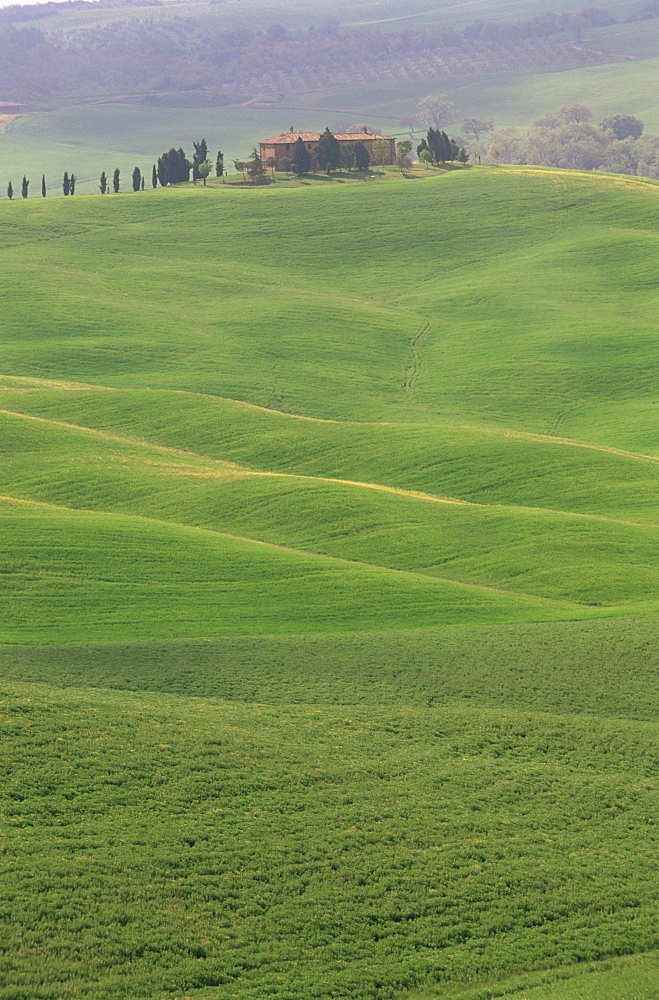 Landscape of the Crete area, near Siena, Tuscany, Italy, Europe