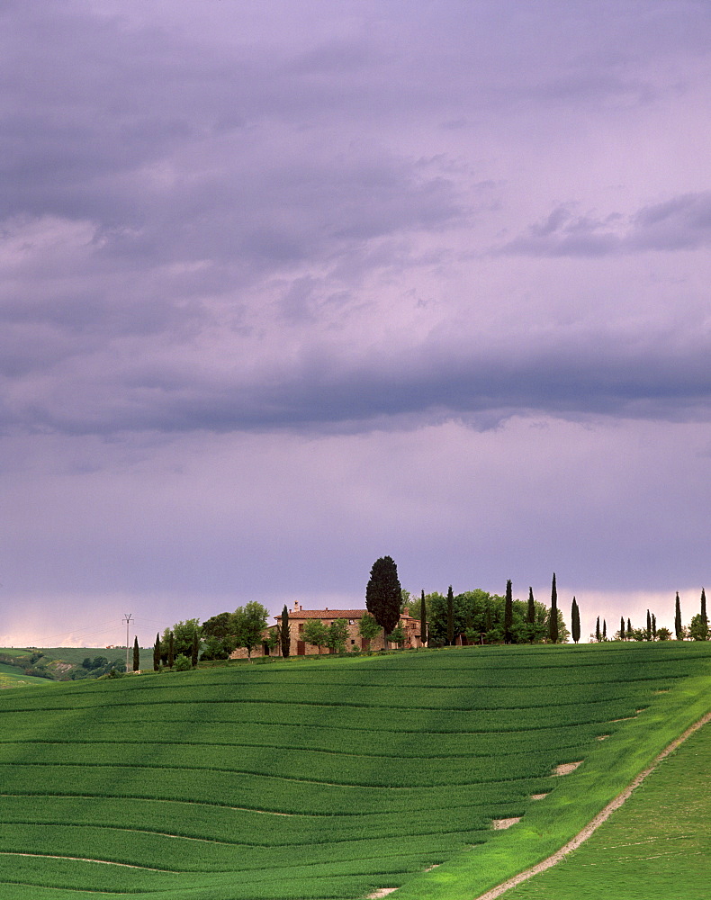 Farm and cypress trees, near Pienza, Tuscany, Italy, Europe