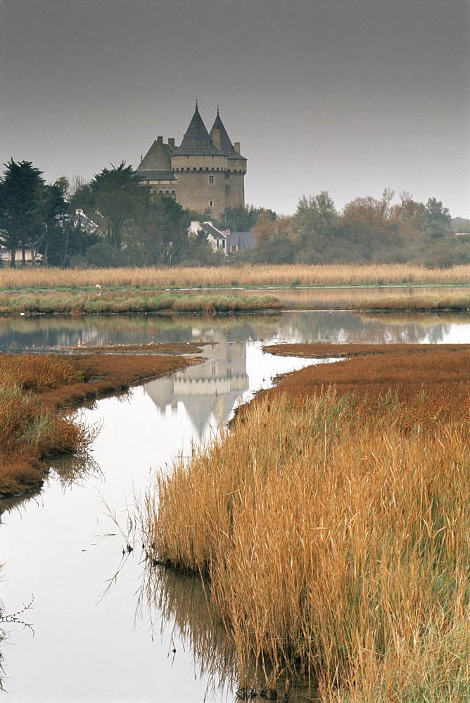 Castle and marshes of Suscinio, Morbihan, Brittany, France, Europe