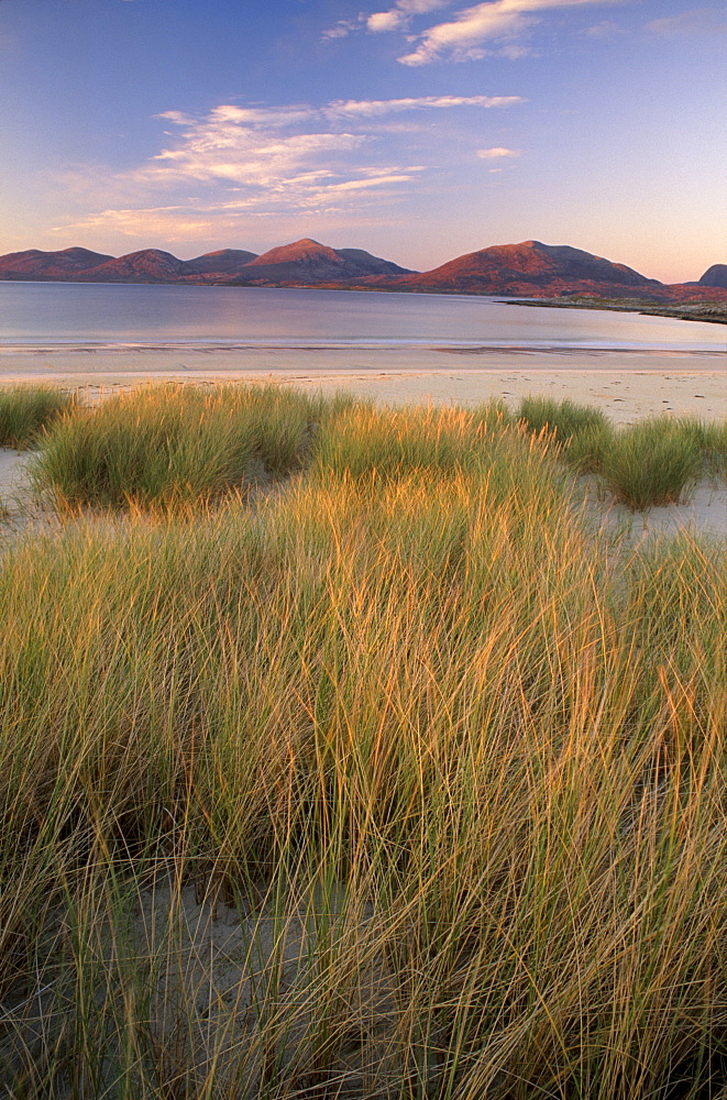 Marram grass and beach near Luskentyre, looking towards North Harris Forest Hills, South Harris, Outer Hebrides, Scotland, United Kingdom, Europe