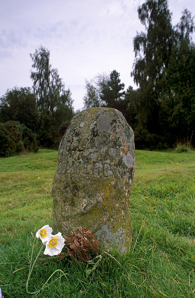 Headstone marking the clans' graves (clan Cameron), Culloden Moor battlefield, near Inverness, Highland region, Scotland, United Kingdom, Europe