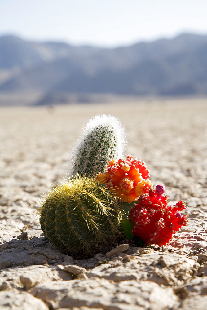 The Racetrack Point, Death Valley National Park, California, United States of America, North America