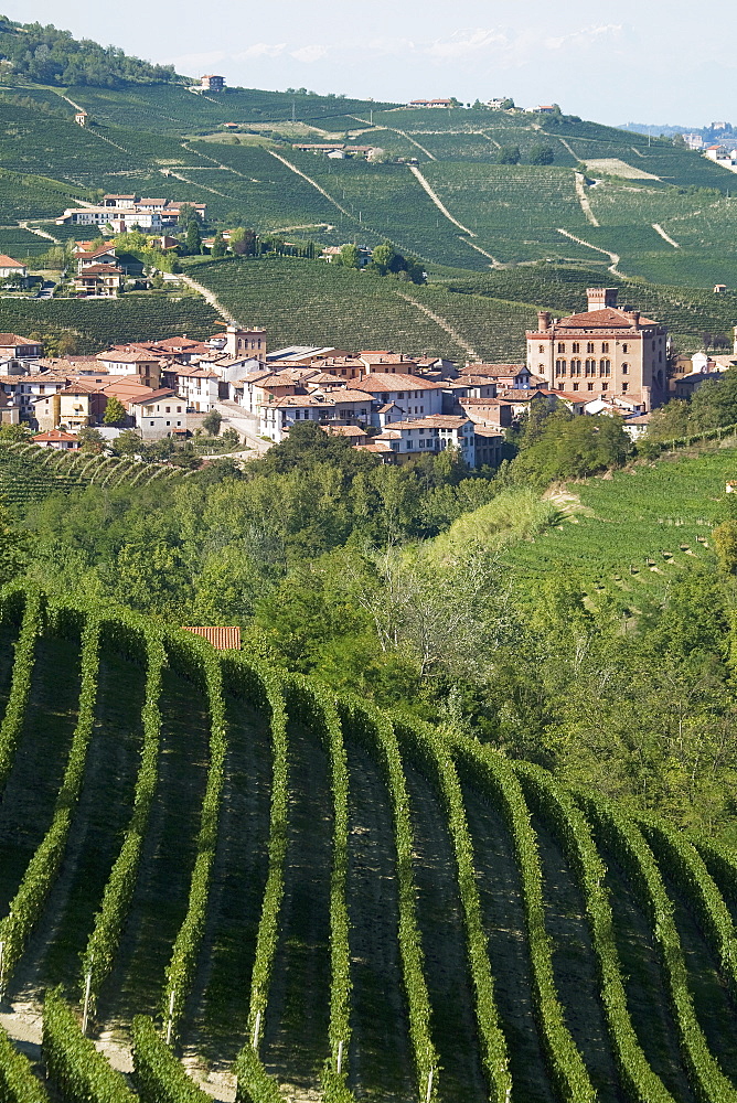 Barolo, Langhe region, Piedmont, Italy, Europe