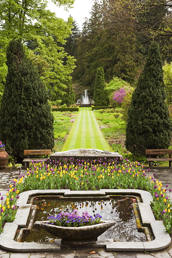 The gardens of Villa Taranto, Verbania, Lake Maggiore, Piedmont, Italy, Europe