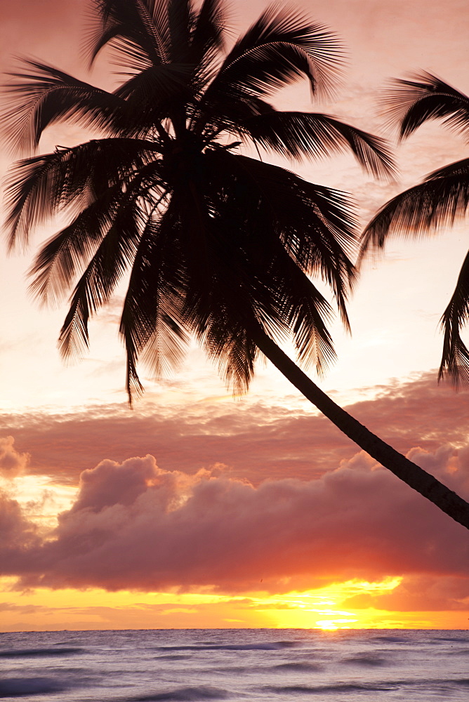 Tropical sunset, Bridgetown, Barbados, West Indies, Caribbean, Central America