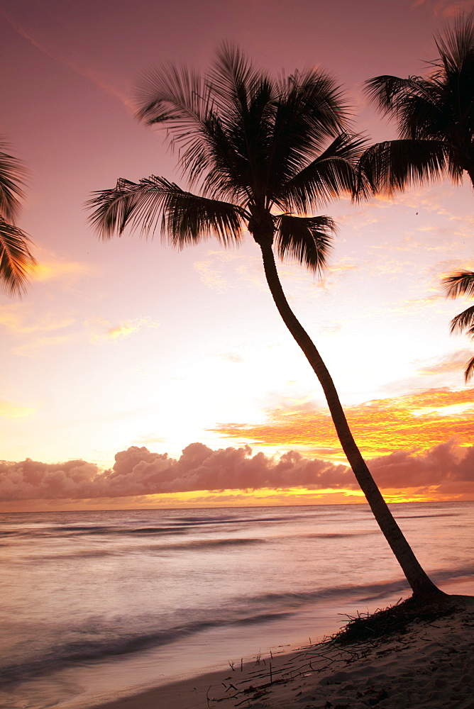 Tropical sunset, Bridgetown, Barbados, West Indies, Caribbean, Central America