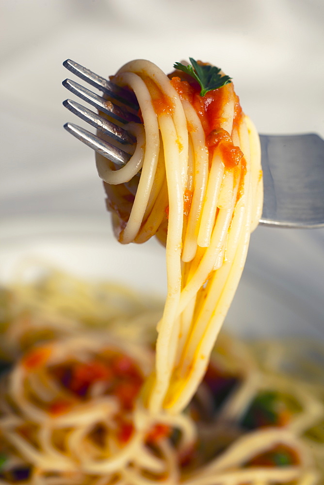 Spaghetti with tomato sauce, Lombardy, Italy, Europe