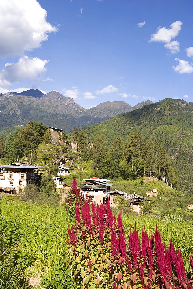 Drukgyel Village, Bhutan, Asia