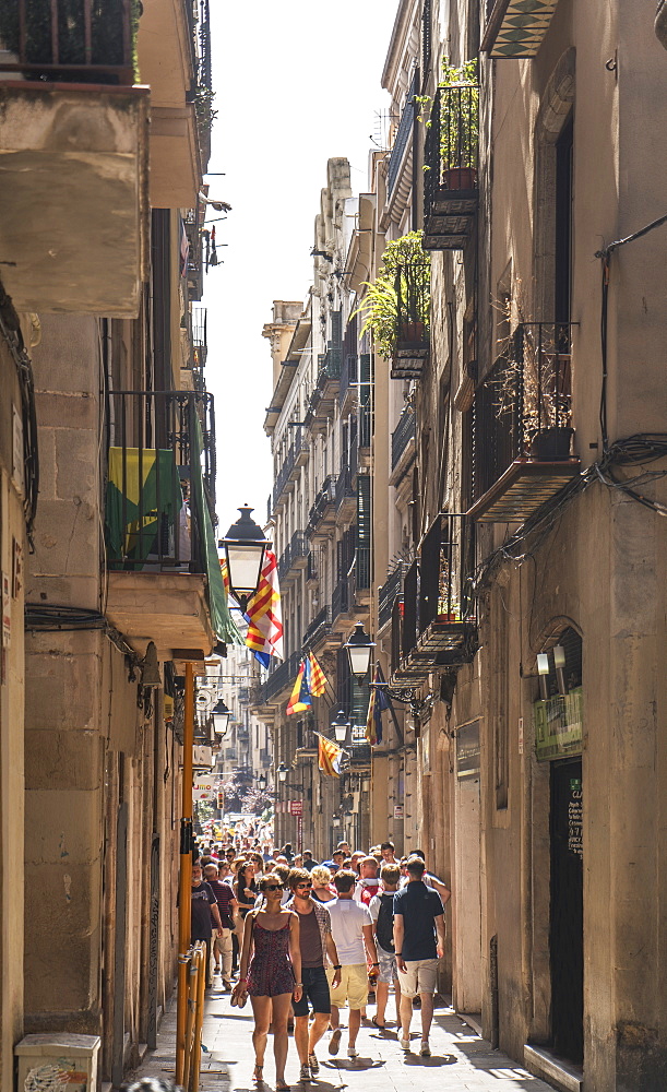 Barcelona, Catalonia, Spain, Europe