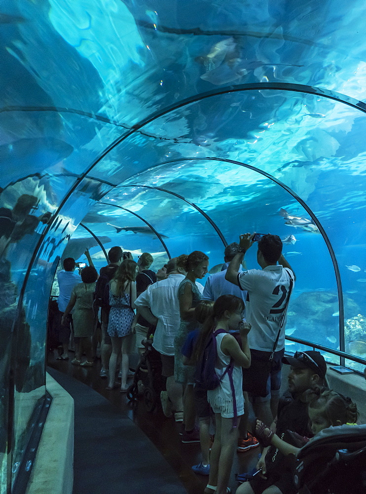 Aquarium, Barcelona, Catalonia, Spain, Europe