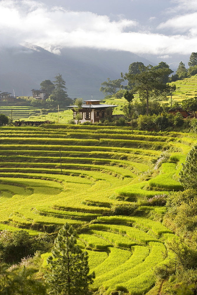 Punakha, Himalayas, Bhutan, Asia